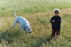 ...und ein unermüdlicher Spielkamerad für Kinder.