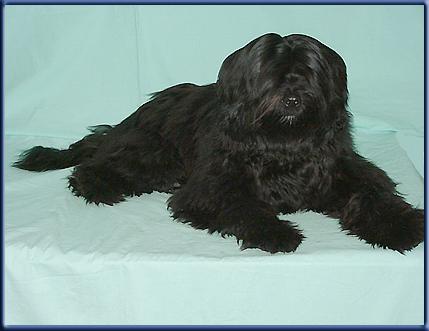 Njima Gompa Norbu - aber Sie dürfen einfach Norbu zu mir sagen... Vielen Dank an Frau Zobel und ihre Tibeter!